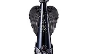 天使之翼大结局 天使之翼大结局