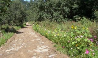乡间的小路原唱 乡间的小路原唱