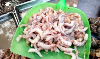 青岛螃蟹多少钱一斤 青岛螃蟹多少钱一斤