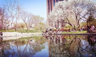 我想我是海 我想我是海