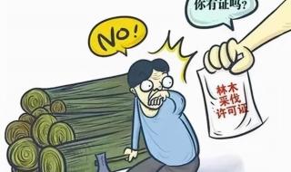 新土地法实施时间 新土地法实施时间