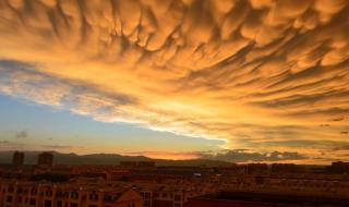 乳状云是什么的预兆 乳状云是什么的预兆