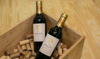 cabernetsauvignon cabernetsauvignon